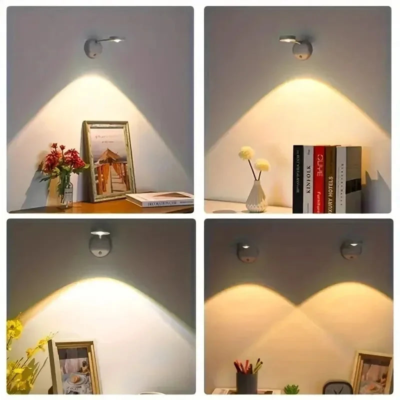 Motion Sensor Picture Light