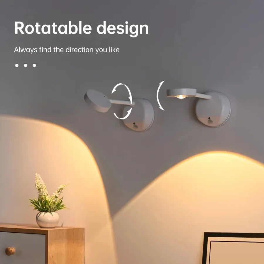 Motion Sensor Picture Light, White